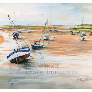 Norfolk Boats Painting